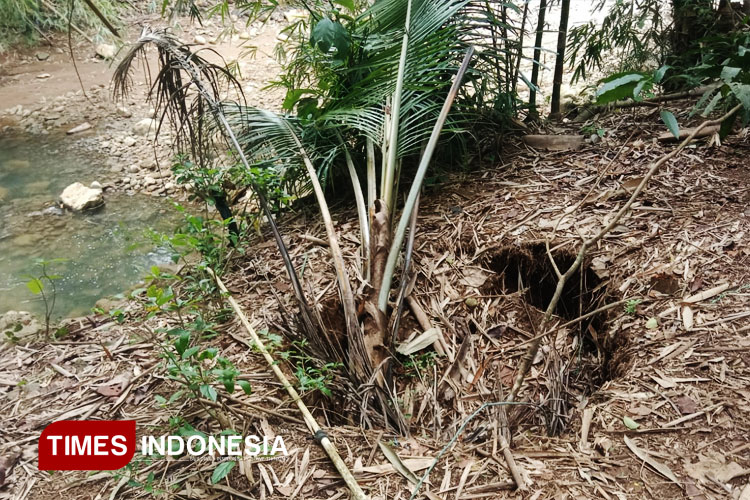 Sungai dan Lahan Warga di Pacitan Ambles, Diduga Ada Luweng Bawah Permukaan