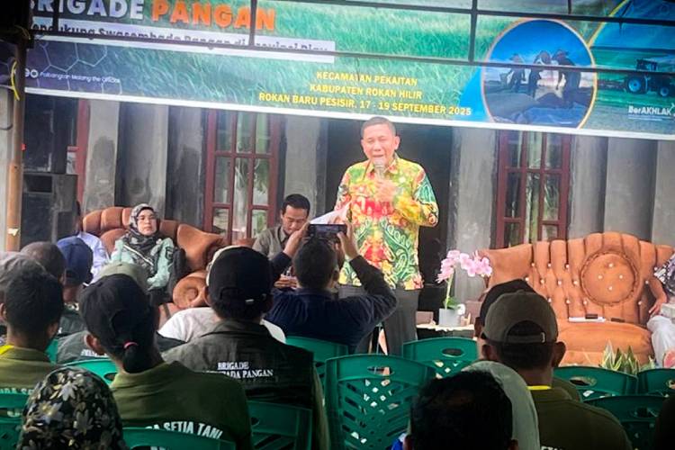 Dukung Program Kementan, Brigade Pangan Rokan Hilir Perkuat Ketahanan Pangan Daerah