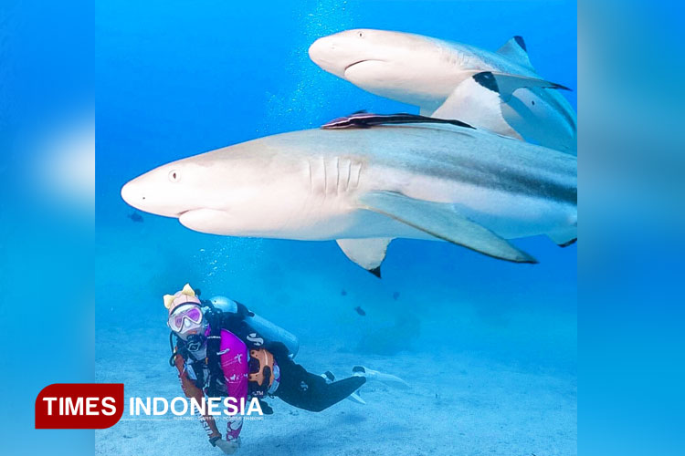 Mitita-Shark-Point.jpg