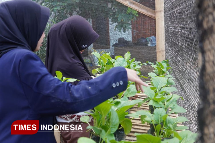Pelatihan-Pertanian.jpg