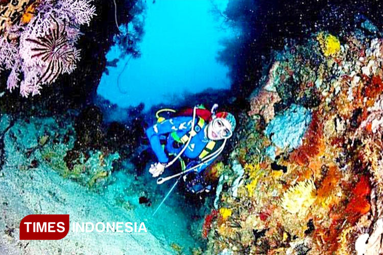 Tiga Spot Wisata Bahari Kelas Dunia di Morotai yang Wajib Dikunjungi Wisatawan