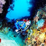 Tiga Spot Wisata Bahari Kelas Dunia di Morotai yang Wajib Dikunjungi Wisatawan