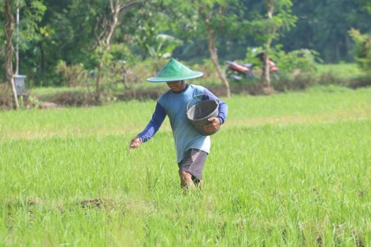 Realokasi Tahap III Diajukan, Stok Pupuk Bersubsidi di Ponorogo Aman hingga Akhir 2025