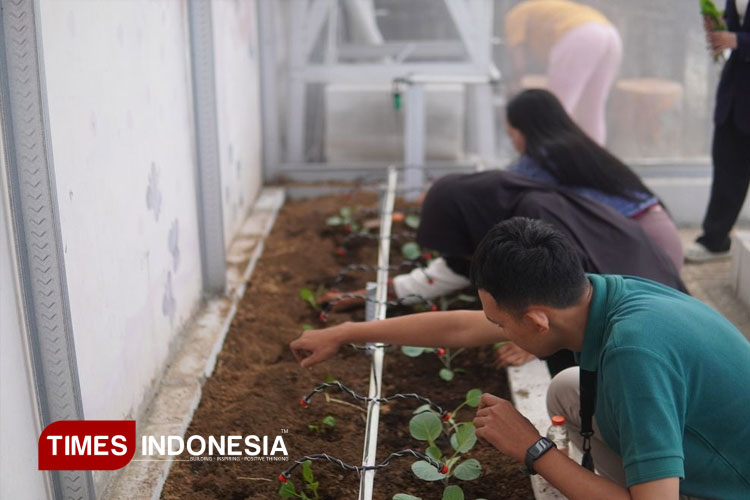 unmer-Pelatihan-Pertanian.jpg