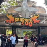 Kasus Korupsi Lahan Bandung Zoo, Kejati Jabar Tahan Mantan Sekda Kota Bandung 20 Hari