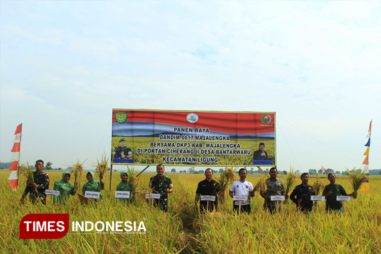 Kodim-Majalengka-menggelar-panen-raya-2.jpg