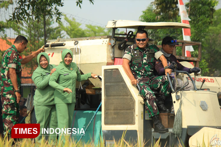 Kodim Majalengka menggelar panen raya. (FOTO: Jaja Sumarja/TIMES Indonesia)