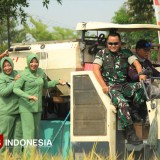 Dandim 0617 Majalengka Turun ke Sawah, Panen Raya Jadi Bukti Sinergi Ketahanan Pangan