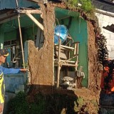 Gempa Magnitudo 3,8 Guncang Sukabumi, BNPB: 5 Rumah Rusak