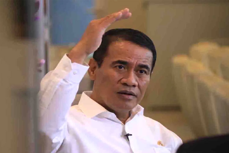 Ini Langkah Kementan Tingkatkan Kesejahteraan Petani Kelapa Malut