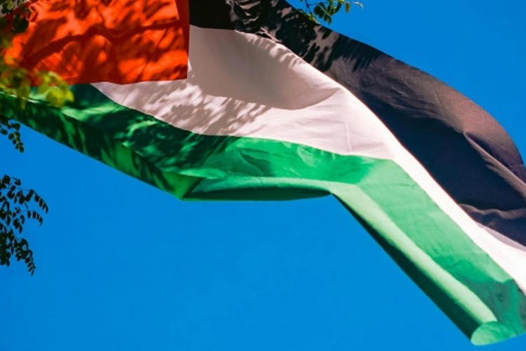 Ilustrasi. Bendera Negara Palestina (Foto: Pexels.com)