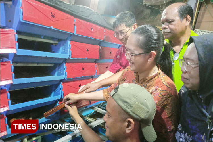 Inovasi Urban Farming: Budidaya Kepiting Bakau Pakai Teknologi PLTS, Seperti Apa?