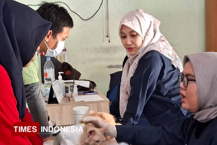 Petugas Puskeswan Taman saat memeriksa dan memberikan vaksin rabies. (FOTO: Syaiful Bahri/TIMES Indonesia)