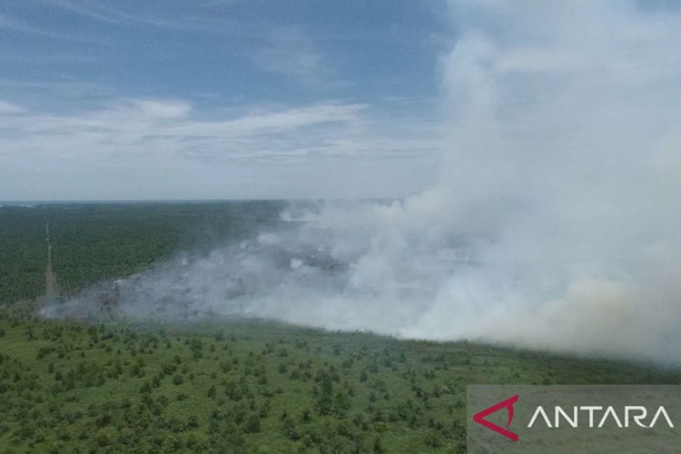 Kobaran api terpantau dari udara saat terjadinya kebakaran hutan dan lahan antara perbatasan Kecamatan Arongan Lambalek dan Kecamatan Samatiga, Kabupaten Aceh Barat, Rabu (24/9/2025). ANTARA
