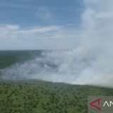 Kebakaran Lahan di Aceh Barat Meluas, BPBD Catat Hampir 20 Hektare Terbakar
