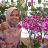 Pesona Anggrek Lokal dan Internasional di Batu Shining Orchids Week 2025