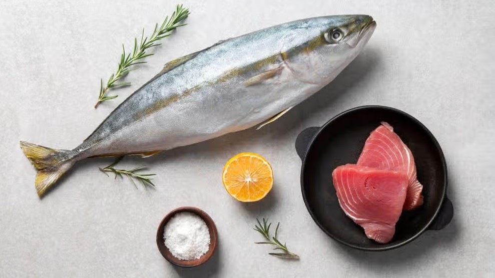 Ikan-Tuna.jpg