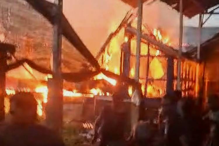 4.000 Ekor Ayam Mati Terpanggang Kobaran Api, Peternak di Banyuwangi Rugi Setengah Miliar Rupiah