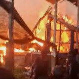 4.000 Ekor Ayam Mati Terpanggang Kobaran Api, Peternak di Banyuwangi Rugi Setengah Miliar Rupiah