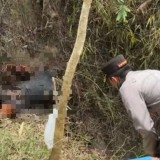 Penemuan Mayat di Jurang Pacitan, Polisi Tunggu Hasil Otopsi untuk Pastikan Identitas Pelaku Pembacokan
