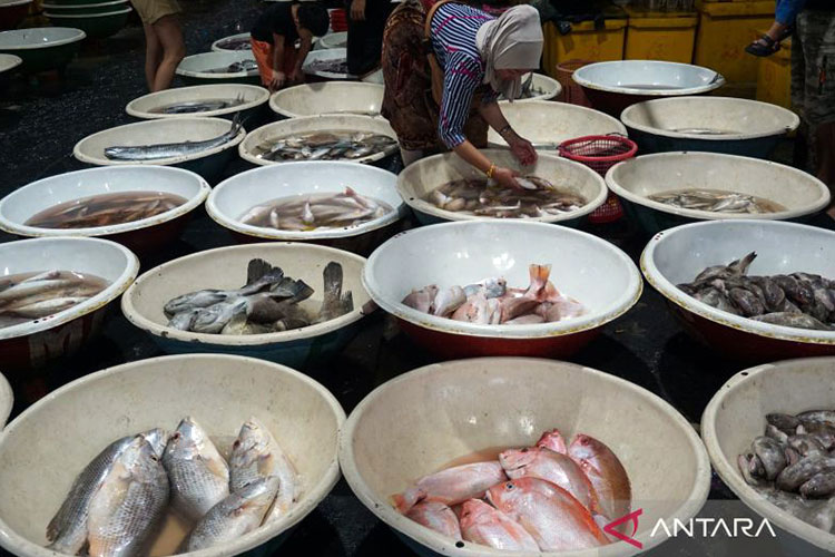 Protein terdapat pada pangan hewani bersumber dari ikan, telur, unggas, serta daging putih dan merah. (Foto: Antara/Ika Maryani)