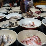 Dokter Gizi: Kekurangan Protein Picu Stunting, Kelebihan Ganggu Ginjal