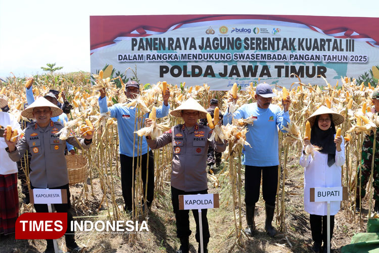Panen Raya 1.445 Ton Jagung di Banyuwangi Dikawal Kapolda Jatim