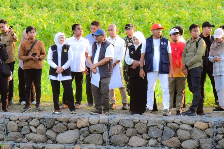 Gubernur Khofifah Indar Parawansa meninjau pemasangan bronjong di Sungai Selowogo, Desa Mlandingan Kulon, Kecamatan Mlandingan, Kabupaten Situbondo.