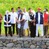 Tanggul Bronjong Baru di Situbondo, Gubernur Khofifah: Cegah Banjir dan Jaga Irigasi Sawah