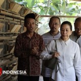 Mantan Menteri BUMN Rini Soemarno Apresiasi Tinggi Pesantren Entrepreneur di Sleman