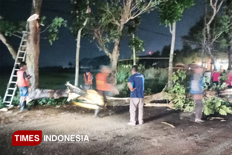 Angin Kencang Terjang Empat Desa di Kabupaten Malang, Pohon Tumbang dan Rumah Rusak