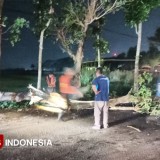 Angin Kencang Terjang Empat Desa di Kabupaten Malang, Pohon Tumbang dan Rumah Rusak