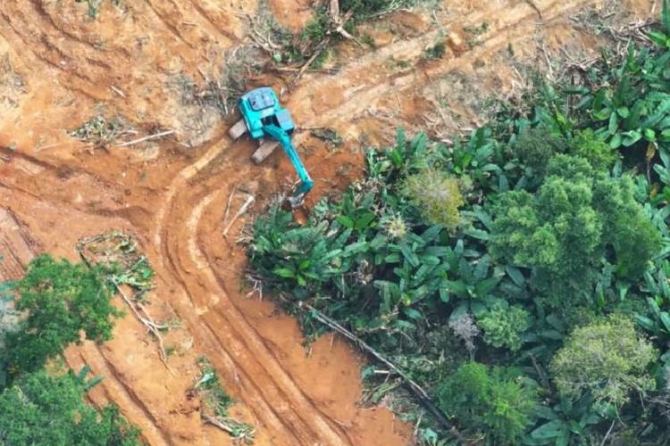 Kemenhut Tetapkan Tersangka Perusakan Hutan Lindung di Sultra