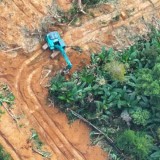 Kemenhut Tetapkan Tersangka Perusakan Hutan Lindung di Sultra