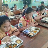 Ditunjuk Sebagai Lokasi Simulasi MBG, Begini Respons Siswa SDN Sidorejo 01 Wungu Madiun