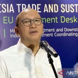 Freeport Hadiahkan 12 Persen Saham ke RI, Pemerintah Kini Kuasai 63 Persen