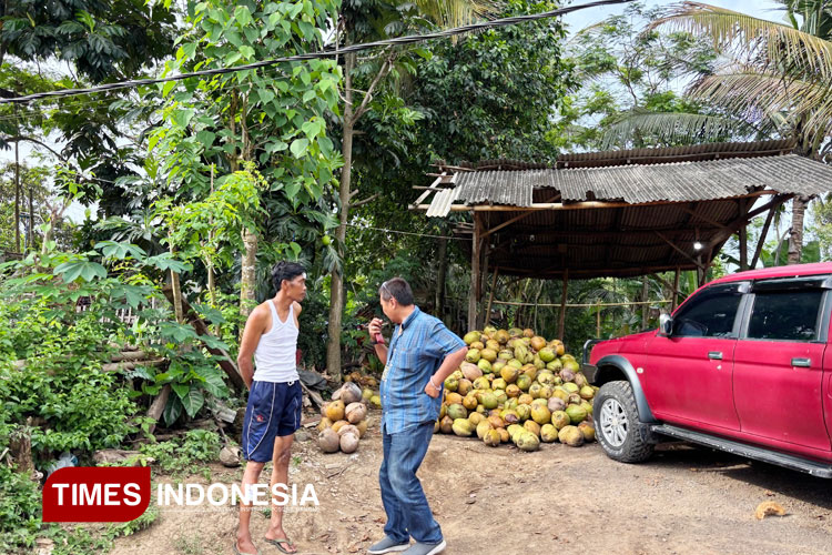 Ramdan menunjukkan TKP sekaligus gudang kelapa miliknya di Desa Rejosari, Kecamatan Glagah, Banyuwangi. (FOTO: Anggara Cahya/TIMES Indonesia)
