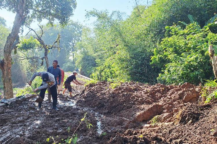 Tebing Sawah di Cianjur Longsor 30 Meter, Akses Jalan Tertutup Total