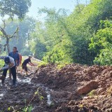 Tebing Sawah di Cianjur Longsor 30 Meter, Akses Jalan Tertutup Total