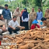 Bupati Pringsewu Lampung Kunjungi Banjarnegara Studi Tiru Pengembangan Mocaf