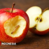 Buah Berulat Masih Bisa Dimakan? Simak Hukum Fiqihnya