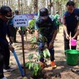 PRB 2025 BNPB RI Tanam 4.075 Bibit Pohon, Warisan Masa Depan Tangkal Bencana