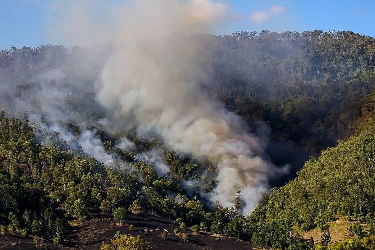 43 Persen Karhutla Dahsyat Terjadi dalam 10 Tahun Terakhir