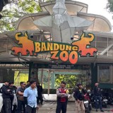 DPRD Jabar akan Gelar RDP Terkait Polemik Pengelolaan Bandung Zoo