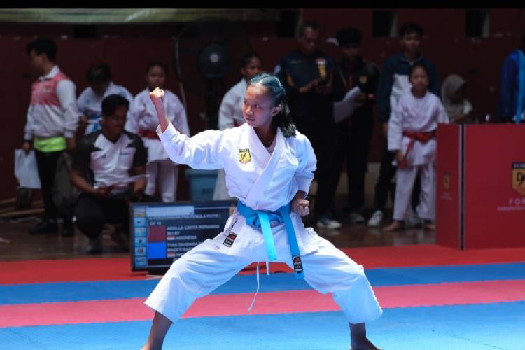 kejuaraan-Karate-Open-Championship-c.jpg