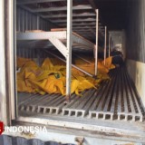 9 Jenazah Korban Ponpes Al Khoziny Masuk Cold Storage oleh Tim Forensik