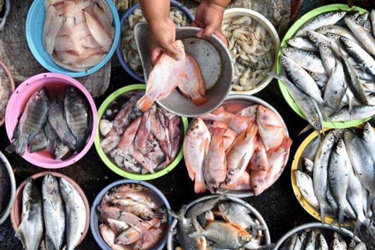 Cuci-bersih-ikan.jpg