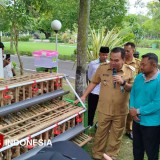 Gerobak dan Ayam Petelur, Langkah Kecil dari Baznas Blora Menuju Kemandirian Ekonomi
