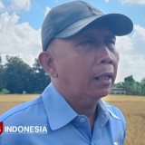 Jaga Stabilitas Harga Sembako, Pemkab Bantul Subsidi Petani dalam Gerakan Pangan Murah