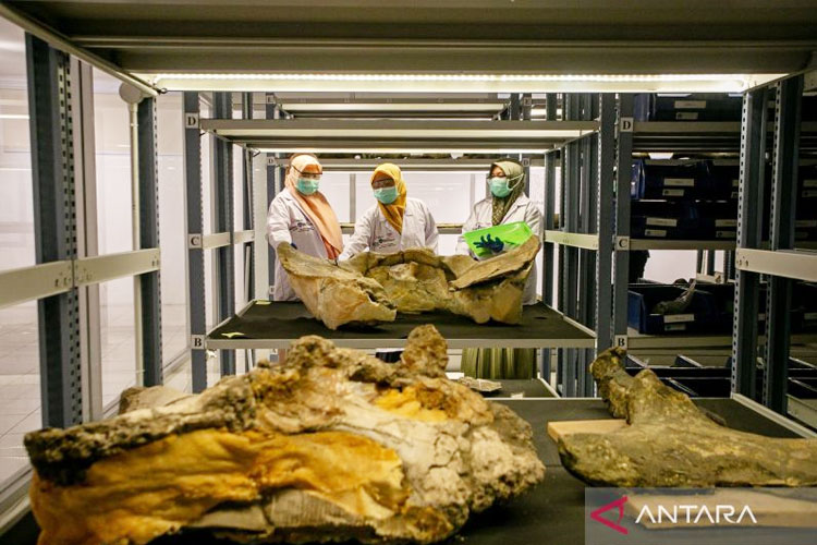 Museum Bangkit! Wisata Sejarah Siap Dikemas Lebih Seru